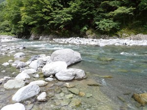 瀬脇のポイント 瀬脇のポイント